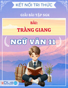 Giải Bài Tập SGK Bài Tràng Giang Kết Nối Tri Thức - Ngữ Văn 11