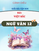 Giải SGK Việt Bắc (Cánh Diều) - Ngữ Văn 12 chi tiết
