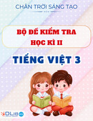 Đề Kiểm Tra Học Kì II - Tiếng Việt 3 - Chân Trời Sáng Tạo (có hướng dẫn giải chi tiết)