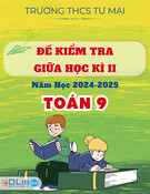 Đề Thi Giữa Học Kì II Năm 2024-2025 - Toán 9 - Trường THCS Tư Mại (Có kèm đáp án chi tiết)