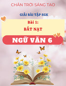 Giải SGK Bài 1 Bắt Nạt Ngữ Văn 6 (Kết Nối Tri Thức Với Cuộc Sống)