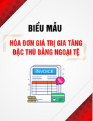 Mẫu hóa đơn giá trị gia tăng đặc thù bằng ngoại tệ [mới nhất]