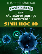 Bài Tập Luyện Tập Phân Tử Sinh Học Trong Tế Bào: Sinh Học 10 - Chân Trời Sáng Tạo