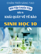 Bài Tập Sinh Học 10: Luyện Tập Bài 4 - Khái Quát Về Tế Bào (Chân Trời Sáng Tạo)