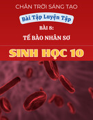 Bài Tập Tế Bào Nhân Sơ Sinh Học 10 (Chân Trời Sáng Tạo): Luyện Tập Bài 8
