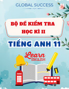 Bộ Đề Thi Kỳ 2 Tiếng Anh 11 Global Success