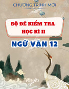 Bộ Đề Ôn Tập Cuối Học Kỳ 2 Ngữ Văn 12 Năm Học 2025-2026