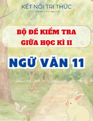 Bộ Đề Kiểm Tra Giữa Học Kỳ II - Ngữ Văn 11 - Kết Nối Tri Thức