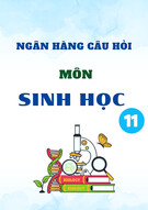 Ngân hàng câu hỏi trắc nghiệm Sinh học lớp 11: Chuẩn nhất