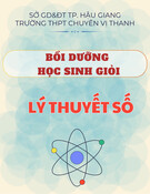 Bồi dưỡng học sinh giỏi: Chuyên đề Lý thuyết số