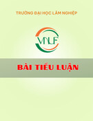 Vai trò của các bên liên quan đến công tác quản lý rừng dựa vào cộng đồng: Bài tiểu luận