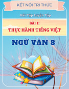 Bài Tập Trắc Nghiệm Bài 1 Thực Hành Tiếng Việt Ngữ Văn 8 Kết Nối Tri Thức (Có đề + đáp án đầy đủ)