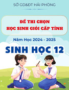 Đề thi học sinh giỏi cấp thành phố môn Sinh học lớp 12 năm 2024-2025 - Sở GD&ĐT Hải Phòng