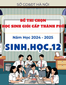 Đề thi học sinh giỏi cấp Thành phố môn Sinh học lớp 12 năm 2024-2025 - Sở GD&ĐT Hà Nội