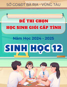 Đề thi học sinh giỏi cấp tỉnh môn Sinh học lớp 12 năm 2024-2025 - Sở GD&ĐT Bà Rịa - Vũng Tàu (Đề minh họa)