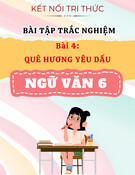 Bài Tập Trắc Nghiệm Quê Hương Yêu Dấu - Ngữ Văn 6 Kết Nối Tri Thức (Có Đáp Án)
