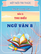 Bài Tập Trắc Nghiệm Thu Điếu Ngữ Văn 8 (Kết Nối Tri Thức) - Tổng Hợp