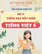 Bài giảng Tiếng Việt 5 - Kết nối tri thức - Bài 5: Tiếng Hạt Nảy Mầm