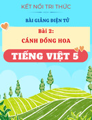 Bài giảng Tiếng Việt 5 - Kết nối tri thức - Bài 2: Cánh Đồng Hoa