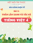 Bài giảng Tiếng Việt 4 - Kết nối tri thức - Bài 5: Thằn Lằn Xanh Và Tắc Kè