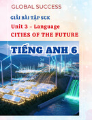 Giải Bài Tập SGK Unit 3 Tiếng Anh 11 Global Success: Cities Of The Future (Language)