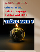 Giải Bài Tập SGK Unit 5 Global Warming (Language) Tiếng Anh 11 Global Success