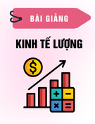 Bài giảng Kinh tế lượng Chương 1: Quang Trung TV (Chi tiết, mới nhất)