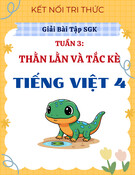 Giải Bài Tập SGK Tuần 3 Tiếng Việt 4 Kết Nối Tri Thức: Bài đọc Thằn Lằn Và Tắc Kè