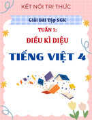 Giải Bài Tập SGK Tuần 1 môn Tiếng Việt 4 (Kết Nối Tri Thức) - Bài đọc Điều Kì Diệu