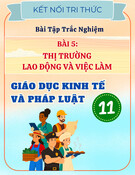 Bài Tập Trắc Nghiệm Thị Trường Lao Động và Việc Làm - GDKT&PL 11 Kết Nối Tri Thức (Kèm lời giải hay)