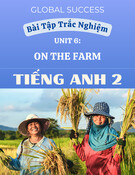 Bài Tập Trắc Nghiệm Unit 6 On The Farm (Ở Nông Trại) - Tiếng Anh 2 Global Success