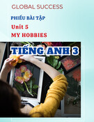 Phiếu Bài Tập Unit 5: My Hobbies - Tiếng Anh 3 Global Success (Download)