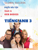 Phiếu bài tập Unit 4 Our Bodies (Cơ thể chúng ta) - Tiếng Anh 3 Global Success