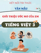 Văn Mẫu Giới Thiệu Ước Mơ Của Em Chuẩn Nhất - Tiếng Việt 3 KNTT