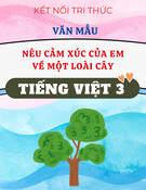 Văn Mẫu Nêu Cảm Xúc Về Một Loài Cây (KNTT) - Tiếng Việt 3