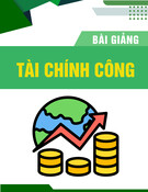 Bài giảng Tài chính công Chương 4: Quang Trung TV (mới nhất)