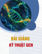 Chọn dòng gene (Tách dòng gene): Bài giảng Kỹ thuật gen - Chương 4