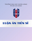 Luận án Tiến sĩ: Tác động của dòng tiền đến đầu tư tại doanh nghiệp Việt Nam - Vai trò vốn lưu động, điều kiện hạn chế tài chính