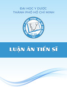 Mô hình tiên lượng tử vong cho bệnh nhân cao tuổi nhồi máu cơ tim cấp ST chênh lên can thiệp mạch vành qua da tiên phát: Luận án Tiến sĩ
