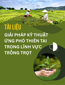 Giải pháp kỹ thuật thích ứng và giảm thiểu thiệt hại do thiên tai trong lĩnh vực trồng trọt: Tài liệu