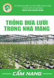 Cẩm nang trồng dưa lưới trong nhà màng chuẩn nhất