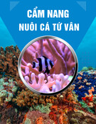 Cẩm nang nuôi cá Tứ vân