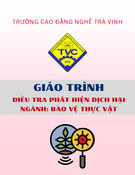 Giáo trình Điều tra phát hiện dịch hại (Trung cấp): Ngành Bảo vệ thực vật - Trường Cao đẳng nghề Trà Vinh
