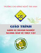 Giáo trình Khởi sự doanh nghiệp (Ngành: Bảo vệ thực vật - Trung cấp) - Trường Cao đẳng nghề Trà Vinh