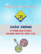 Giáo trình Vi sinh đại cương Bảo vệ thực vật (Trung cấp) - Trường Cao đẳng nghề Trà Vinh