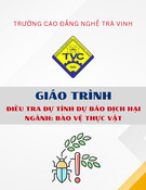 Giáo trình Điều tra Dự tính Dự báo Dịch hại (Bảo vệ Thực vật - Trung cấp): Trường Cao đẳng Nghề Trà Vinh