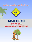 Giáo trình Cây ăn quả (Ngành Bảo vệ thực vật Trung cấp) - Trường Cao đẳng nghề Trà Vinh