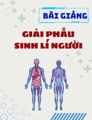 Bài giảng Giải phẫu sinh lí người: Chương 5 - TS. Hồ Đình Quang