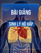 Bài giảng Sinh lý hô hấp TS. Phạm Hoàng Khánh