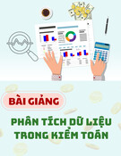 Bài giảng Phân tích dữ liệu trong kiểm toán Chương 3: TS. Hoàng Thị Mai Lan